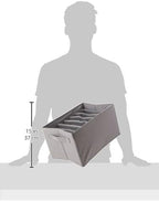 Amazon Basics Underwear Dresser Drawer Organizers, Pack of 2, Gray