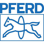 Pferd - 11012P PFERD Flat Hand File with Handle, American Pattern, Double Cut, Rectangular, Fine, 10" Length, 31/32" Width, 1/4" Thickness