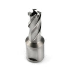 OSCARBIDE 1/2"x1" Annular Cutter,3/4 inch Weldon Shank,1/2 inch Cutting Diameter,1 inch Depth of Cut,2 Flat Mag Drill Bit with Pilot Pin for Magnetic Drill Press,1 Piece