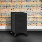 Raybee 3 Drawer File Cabinet Printer Stand Filing Cabinet Rolling File Cabinets for Home Office Fabric Vertical Office Storage Cabinet Fits A4, Legal, Letter Size, 16.7" D*16" W*26.8" H, Black