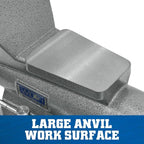 Wilton Mechanics Pro Bench Vise, 10" Jaw Width, 12" Jaw Opening, 5-1/4" Throat (Model 8100M)