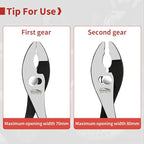 8-In and 10-In 2 PCS Slip Joint Pliers, Small Pliers with Non Slip Handle, High Carbon Steel, 8 Inch Grip Pliers for Tightening, Loosening and Gripping Nuts and Bolts
