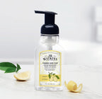 J.R. Watkins Foaming Hand Soap with Pump Dispenser, Moisturizing Foam Hand Wash, All Natural, Alcohol-Free, Cruelty-Free, USA Made, Lemon, 9 fl oz, 3 Pack