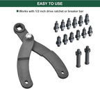 LainKeen 15Pc Universal Camshaft Pulley Holder Tools Kit,Variable Pin Spanner Wrench Kit Adjustable Fan Clutch Pully Holder Wrench with Pins