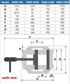 KAKA INDUSTRIAL Drill Press Clamping Vice,Precise Drilling Press Vise (BSM-75N)