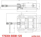 KAKA INDUSTRIAL Drill Press Clamping Vice,Precise Drilling Press Vise (BSM-125)