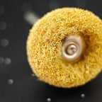 100Pcs Upgrades Abrasive Buffing Wheels,Wheels Burr for Rotary Tools-1/8(3mm) Shank,Rust Removal, Polishing.20Pcs Each