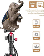 CAMBOFOTO 80"-Professional-DSLR-Camera-Tripod, SLR Ball Head Aluminum Photography Tri pod & Monopod with Carry Bag Compatible with Canon/Nikon/Binoculars/Telescope (Weight 3.6 Lbs, 33Lbs Load)
