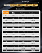 COMOWARE Impact Drill Bit Set - 21 Pcs Hex Titanium HSS Quick Change Impact Driver Bit Set for Wood, Plastic, Aluminum Alloy, Metal, 1/16"-1/2"