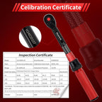 1/4-Inch Drive Click Torque Wrench Set,2.3-24.9 N.M/20-220IN.LB, Bike Torque Wrench Set,16PCS 72-tooth Torque Wrenches Set with Extension Bar & Socket Sets for Bicycle