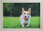 Photo Puzzles for Gift, Pets, Festivals, Weddings, Family Gatherings, Adult Customized Puzzles Jigsaw (Vertical or Horizontal) (None) (120.PC with Frame (Vertical/Horizontal))