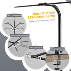 Double Head Desk Light with Clamp, LED Desk Lamp with Remote Control, Tall Double Head Desk Lamp with Clamp, 10 Brightness Modes & 10Colors, Adjustable Desk Light for Work & Study