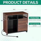 Letaya Mobile 2 Drawer File Cabinet with Lock, Metal Lateral Printer Stand Filing Storage Cabinets with Shelves for Home Office-A4/F4/Letter (Charging Socket)