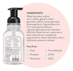 J.R. Watkins Foaming Hand Soap with Pump Dispenser, Moisturizing Foam Hand Wash, Alcohol-Free and Cruelty-Free, Grapefruit, 9 fl oz, 3 Pack