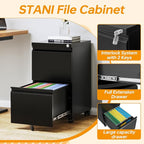 2 Drawer File Cabinet On Wheels Mobile Cabinet with Lock Under Desk Metal Filing Cabinet On Rollers Small Rolling File Cabinet Black Printer Stand for Home Office Fully Assembled
