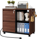 Letaya Mobile 2 Drawer File Cabinet with Lock, Metal Lateral Printer Stand Filing Storage Cabinets with Shelves for Home Office-A4/F4/Letter (Charging Socket)