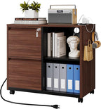 Letaya Mobile 2 Drawer File Cabinet with Lock, Metal Lateral Printer Stand Filing Storage Cabinets with Shelves for Home Office-A4/F4/Letter (Charging Socket)