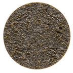 Benchmark Abrasives 2 Inch Sanding Discs Quick Change Nylon Surface Conditioning Discs, Drill & Die Grinder Sanding Disc Rust Remover for Metal Paint Stripper & Removal, Polishing - (25 Pack)(Coarse)
