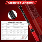 3/8-Inch Torque Wrench, Dual-direction Torque Wrenches 10-100ft.lb/13.6-135.6Nm, 72-Tooth Dual Range Scales Torque Wrench with Quick Release Reversible Head