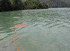 8/10/12mm x 5/10/20/30meter Static Rope Climbing Rope Marine Rope Anchor Rope Boat Rope Rappelling Rope Float Rope Tree Swing Rope Reflective