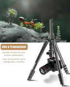 CAMBOFOTO 80"-Professional-DSLR-Camera-Tripod, SLR Ball Head Aluminum Photography Tri pod & Monopod with Carry Bag Compatible with Canon/Nikon/Binoculars/Telescope (Weight 3.6 Lbs, 33Lbs Load)