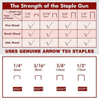 Arrow Electric Staple Gun Kit, Corded Stapler with 3750 Pieces T50 1/4", 3/8", 1/2" Staples, for Upholstery Professional and DIY Projects, T50ACD