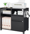Letaya Mobile File Cabinet, Metal Lateral Rolling Printer Stand Filing Cabinets with Shelves for Home Office-Storage A4/F4/Letter (Black)