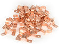 200-PACK GUOFIS 1Inch C x 1Inch C Copper Pipe Straps Clamp with Two Holes, Two-Hole Clamps Mount for Residential, Commercial(COPPER059-200Pack)