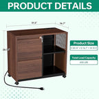 Letaya Mobile 2 Drawer File Cabinet with Lock, Metal Lateral Printer Stand Filing Storage Cabinets with Shelves for Home Office-A4/F4/Letter (Charging Socket)