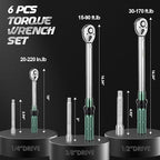 DISEN 6 PCS 1/4 3/8 1/2-inch Drive Click Torque Wrench Set 20-220In.lb, 15-90Ft.lb, 30-170Ft.lb with Extension Bar Kit, ±3% Accuracy, 72-Tooth Dual Scale Torque Wrenches for Bike, Moto, Car Repair