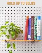 INCLY 120 Pack 2/4/6 Inch Black Pegboard Hooks, 1/4" Heavy Duty Peg Board Shelving Hooks Accessories, Peg Board Tool Hangers Fit 1/4" Pegboard Hanging Tools Garage, Crafts Organizing, Kitchen, Store