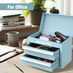 WORKPRO Mini Metal Tool Box with 2 Drawers and Top Storage, Small Tool Chest with PVC Liners and PP Feet Pads, Cold Rolled Steel Toolbox with Magnetic Tab