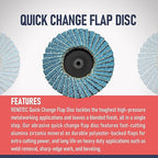 30 Pcs 2 Inch Mini Flap Disc, Zirconia High Density, with 1 Pcs 1/4 inch Shank Holder, for Metal Grinding, for Angle Die Grinder (80 GRIT)
