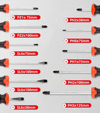 Screwdriver Set 14-Piece Precision Screwdrivers with box, Phillips, Slotted, Pozidriv, Magnetic Screwdriver Repair Tool Kit, Watch, Computer, Automotive, Phone (14-Piece)