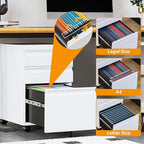 STANI Mobile File Cabinet with Lock Under Desk Metal Filing Legal/Letter File Folders Rolling Cabinet Metal File Cabinets Filing on Wheels with Drawers Assembly Required