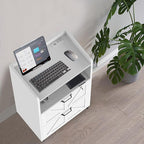 2 Drawer File Cabinet On Wheels & Charging Station, Wood Filing Cabinet with Lock & LED Light, Large Storage Printer Stand for Home Office, White