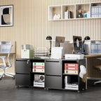 Lateral 2 Drawer Filing Cabinet with Lock, Mobile File Cabinet on Wheels, Printer Stand with Storage for Legal/Letter/A4 File Folders (Blcak)