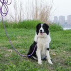 NTR Strong Dog Leash - 15FT Reflective Purple Rope with Swivel Lockable Hook and Padded Handle, Cat & Dog Leash for Small to Large Dogs, Training, Playing, Camping, or Backyard