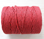 4mm x 100 Feet Red Jute Rope, Twine for Gardening Tomato Climbing Plant Tie Floristry Crafts Gift Wrapping Packing Decor