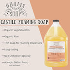 Adams Handmade Soap Liquid Foaming Soap 1 Gal - Cinnamon Spice (Pack of 4)