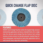 30 Pcs 2 Inch Mini Flap Disc, Zirconia High Density, with 1 Pcs 1/4 inch Shank Holder, for Metal Grinding, for Angle Die Grinder (60 GRIT)