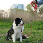 NTR Heavy Duty Dog Leash, 15FT Training Leash with Swivel Lockable Hook, Padded Handle and Highly Reflective Threads, Dog Lead for Walking, Hunting, Camping, Backyard for Small Medium Large Dog Red