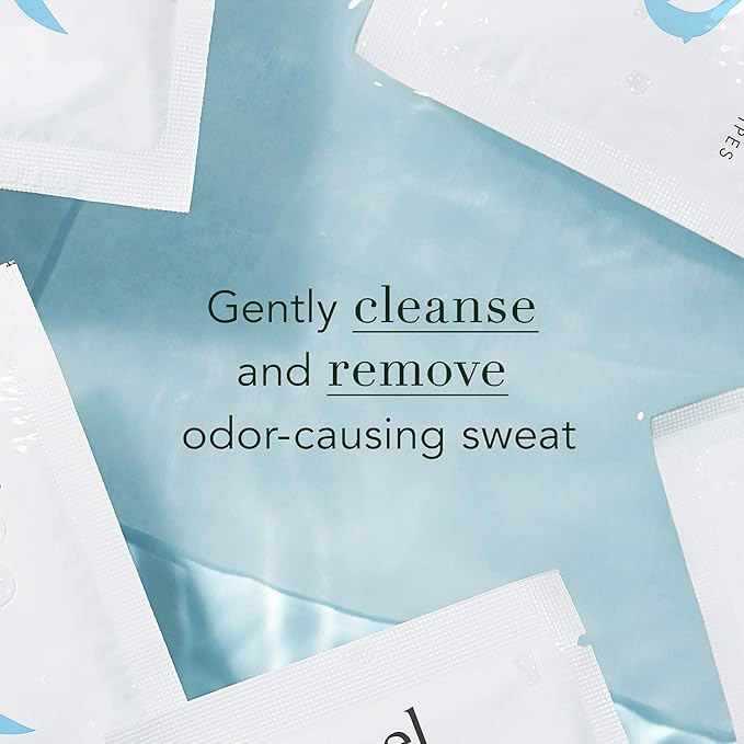 Rael Organic Cotton Wipes - Body Cloth, Individually Wrapped, All Skin Types, Vegan, Cruelty-Free, Unscented (10 Count, Pack of 4)