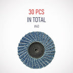30 Pcs 2 Inch Mini Flap Disc, Zirconia High Density, with 1 Pcs 1/4 inch Shank Holder, for Metal Grinding, for Angle Die Grinder (40 GRIT)