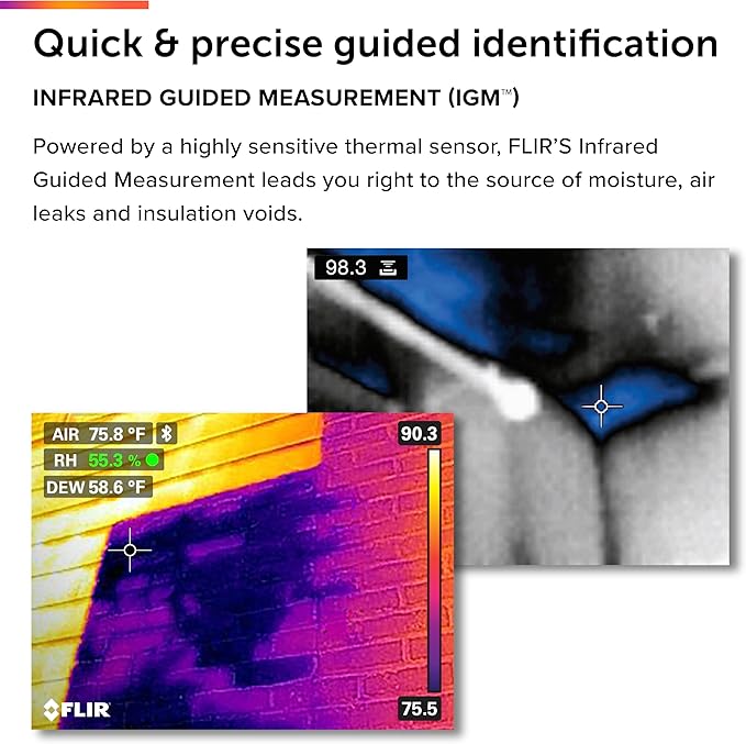 FLIR MR176 - Thermal Imaging Moisture Meter - with IGM (Infrared Guided Measurement), Replaceable Hygrometer, Pin and Pinless