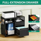 Letaya Mobile File Cabinet, Metal Lateral Rolling Printer Stand Filing Cabinets with Shelves for Home Office-Storage A4/F4/Letter (Black)