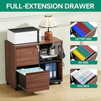 Letaya Mobile 2 Drawer File Cabinet with Lock, Metal Lateral Printer Stand Filing Storage Cabinets with Shelves for Home Office-A4/F4/Letter (Charging Socket)