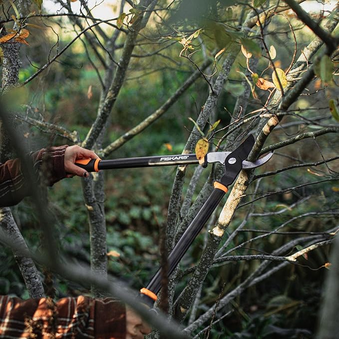 Fiskars Bypass Lopper, Lightweight Tree Pruning Tool, Rust Resistant and Low Friction Coating, SoftGrip Handle Control with Shock-Absorbing System, 24"