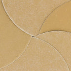 Dura-Gold Premium 150 Grit 6" Gold Sandpaper Discs, No Hole Pattern Dustless, Box of 50, Hook & Loop Backing for DA Sander, Finishing Coarse Sanding Abrasive Automotive Paint, Woodworking Wood, Metal