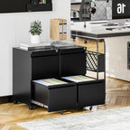 2 Drawer File Cabinet On Wheels Mobile Cabinet with Lock Under Desk Metal Filing Cabinet On Rollers Small Rolling File Cabinet Black Printer Stand for Home Office Fully Assembled